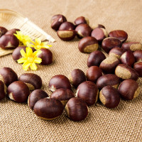 板栗1000g(外加盟)