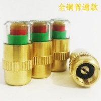 [补贴10%]汽车轮胎气嘴盖气嘴子帽胎压监测帽气压检测警示预警冒气嘴帽全铜 [铜芯+本色]四支装