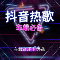 汽车载sd卡高音质32g记忆卡歌曲卡mp3手机小音响无失真抖音存储tf卡