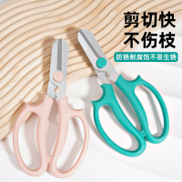 [补贴10%]园艺剪刀花剪修枝剪花艺剪子花艺师插花家用剪子鲜花修剪工具