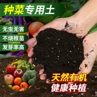 [补贴10%]种菜种花营养土养花绿植通用型肥料土壤种菜家用有机花泥花土专用
