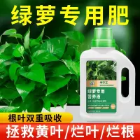 [补贴10%]绿萝营养液肥料专用肥植物盆栽绿箩营业液花肥料家用土水培养花用