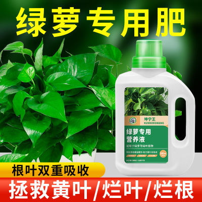 [补贴10%]绿萝营养液肥料专用肥植物盆栽绿箩营业液花肥料家用土水培养花用