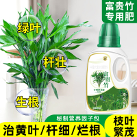 [补贴10%]富贵竹专用营养液治叶子发黄转运竹节节高文昌竹水竹水培植物生根