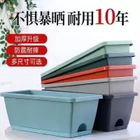 [补贴10%]长方形霍伦花盆塑料阳台种菜神器家用长条槽盆盆栽种植盆特大窗台 特大号[50*19厘米]1个盆