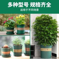 [补贴10%]花盆盆家用塑料加厚阳台盆景多肉加仑盆绿萝专用盆栽月季草莓 不含托盘[送肥]