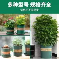 [补贴10%]花盆盆家用塑料加厚阳台盆景多肉加仑盆绿萝专用盆栽月季草莓 不含托盘[送肥]