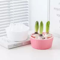 [补贴10%]郁金香种球专用水培花盆风信子洋水仙种子三孔五孔懒人花盆器皿 1套