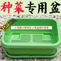 [补贴10%]阳台种菜盆加厚长方形塑料盆家庭蔬菜种植盆种菜神器大号耐用花盆