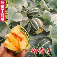[补贴10%]甜掉牙香瓜种子花皮酥脆甜红到边超甜甜瓜水果香瓜种子家庭盆栽