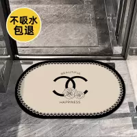 [补贴10%]小香风硅藻泥浴室吸水防滑地垫家用卫生间轻奢高级感速干耐磨地毯 40*60cm[秒吸速干]