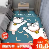 [精品特卖]卡通床边地毯卧室客厅可爱满铺毯简约北欧ins地垫网红少女心定制冰星梦