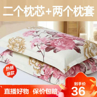 [精品特卖]枕头枕头芯套装一对单人一只成人护颈枕头枕芯一对装宿舍家用双人冰星梦