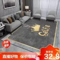[精品特卖]轻奢地毯客厅茶几毯家用房间铺大面积卧室床边毯北欧ins风地垫冰星梦