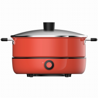 九阳电磁炉(电火锅)C21-HG5