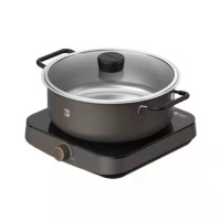 九阳电火锅C21HG-C319