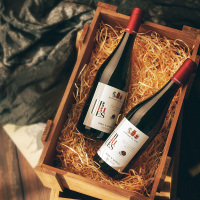 意大利原装原瓶进口黑珍珠红葡萄酒750ml*2瓶