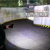 大阳能庭院灯人体感应户外院子灯家用仿真监控摄像头充电照明路灯