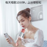 全民k歌话筒麦克风蓝牙音响一体扩音器手机卡拉ok唱歌练歌带音箱