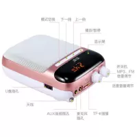正常发货s-318小蜜蜂扩音器教师专用导游耳麦话筒喊话喇叭