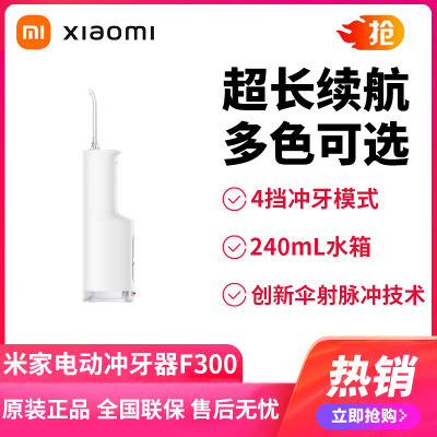 小米米家电动冲牙器F300 白色 立式冲牙器洗牙器水牙线 创新散射脉冲 4档模式3种喷嘴 240ML大水箱