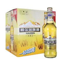 哈尔滨小麦王啤酒8度500ml*12瓶