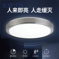 led人体感应灯声控红外雷达吸顶灯家用楼梯走廊楼道灯过道车库灯