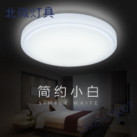 圆形LED吸顶灯卧室灯简约现代客厅灯餐厅房间过道阳台节能灯饰双层白LED60W白光(50cm)