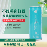 策九流浪的苹果天然苹果醋饮料整箱250ml*24瓶饮网红饮品苹果汁甜蜜的酸像极了爱情