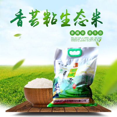 香芸粘生态米 石城贡米原生态香籼米2.5kg 天然稻米 品质优良 营养丰富