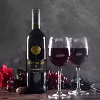 [法国进口]GUFANDENG干红葡萄酒750ml h
