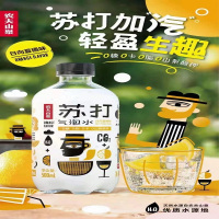 农夫山泉苏打气泡水饮品日向夏橘味500ml