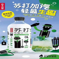 农夫山泉苏打气泡水饮品莫吉托味500ml