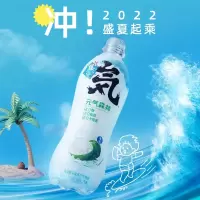 元气森林海盐椰子味苏打气泡水480ml