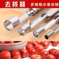 不锈钢山楂去核器红枣去籽器苹果梨水果取芯工具方便器