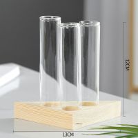 C款 不含植物|[创意木架水培花瓶]绿萝玻璃容器办公室内桌面绿植现代摆件装饰