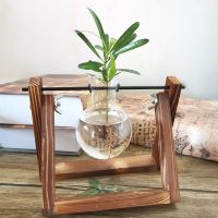 碳化单瓶 不含植物|[创意木架水培花瓶]绿萝玻璃容器办公室内桌面绿植现代摆件装饰