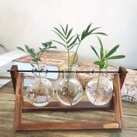 碳化三瓶 不含植物|[创意木架水培花瓶]绿萝玻璃容器办公室内桌面绿植现代摆件装饰