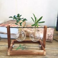 碳化方底双瓶 带植物|[创意木架水培花瓶]绿萝玻璃容器办公室内桌面绿植现代摆件装饰