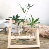 原色双层3瓶 带植物|[创意木架水培花瓶]绿萝玻璃容器办公室内桌面绿植现代摆件装饰