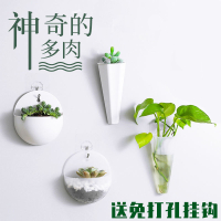 硅胶花瓶贴墙上水培壁挂花盆花瓶简约客厅装饰品桌面摆件绿萝装饰