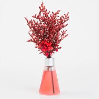 玫瑰(浪漫花香) 1瓶装(天然植萃精油)|[驱蚊虫精油]空气清新剂卫生间卧室持久留香厕所除臭香薰