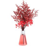 香-奈-儿(香水调) 2瓶+200ML补液(天然植萃精油)|[驱蚊虫精油]空气清新剂卫生间卧室持久留香厕所除臭香薰