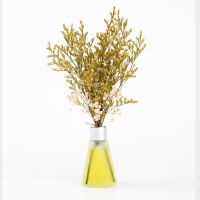 栀子花(清新淡雅) 2瓶+200ML补液(天然植萃精油)|[驱蚊虫精油]空气清新剂卫生间卧室持久留香厕所除臭香薰