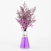 香格里拉(酒店风) 2瓶装(天然植萃精油)|[驱蚊虫精油]空气清新剂卫生间卧室持久留香厕所除臭香薰