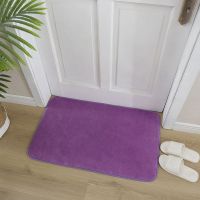 地垫门垫吸水垫进门脚垫浴室卫生间防滑垫门口垫子家用地毯厨房垫