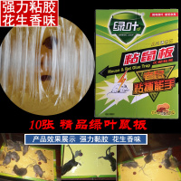 绿叶粘鼠板粘鼠贴强力灭大老鼠贴粘鼠胶夹捕鼠器粘板 10张装