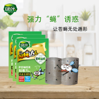 苍蝇粘板灭蝇绿叶粘蝇纸板粘蝇板苍蝇贴粘蝇贴粘蝇彩带蝇贴50片