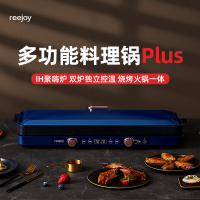 锐椒(reejoy)RJ-3500KP 聚嗨盘 双炉独立可控 两种模式聚嗨 IH电磁技术 21段火力调节