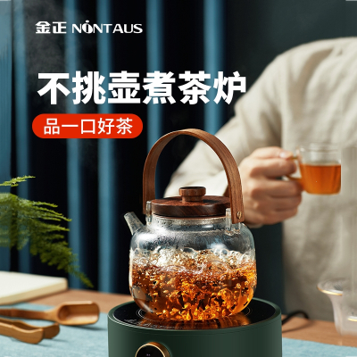 金正(NiNTAUS)电陶炉茶炉家用温茶煮茶器单炉铁壶煮茶炉小型电磁炉烧茶_绿色不挑茶壶提梁壶